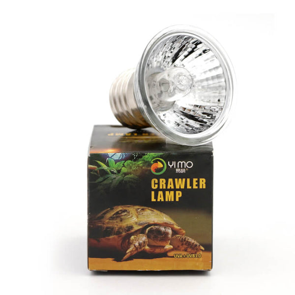 Lampe chauffante Tortue Economique ️ Le Royaume des Tortues