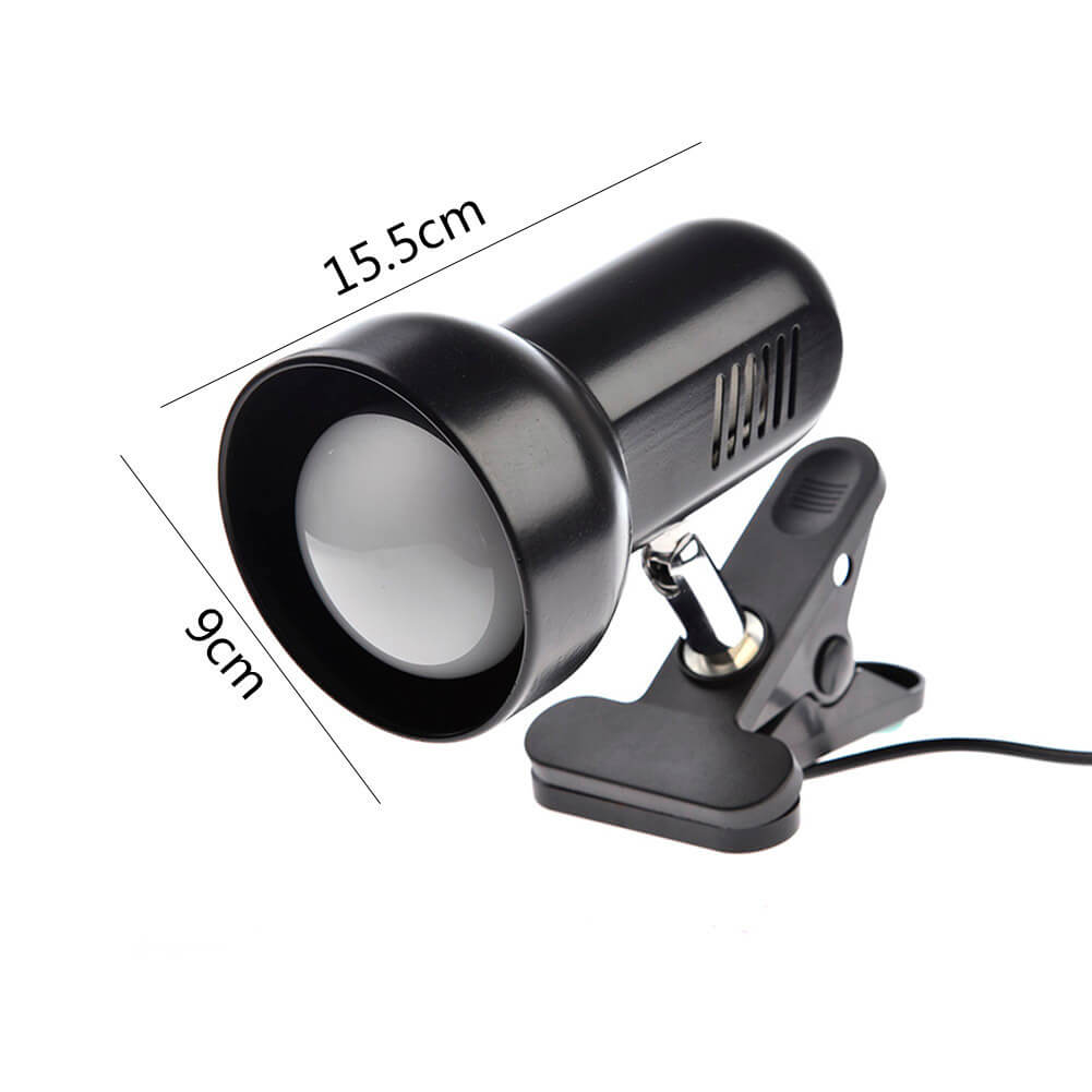 Lampe chauffante tortue terrestre