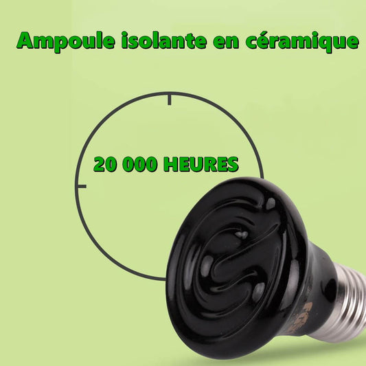 Ampoule terrarium longue durée 20 000 heures