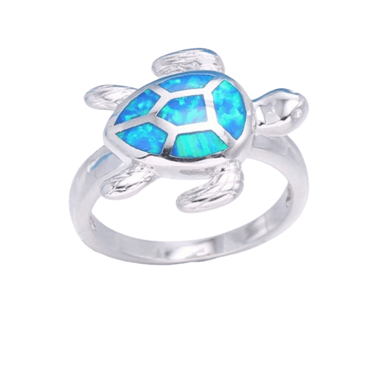 Alliance Tortue Ciel Bleu