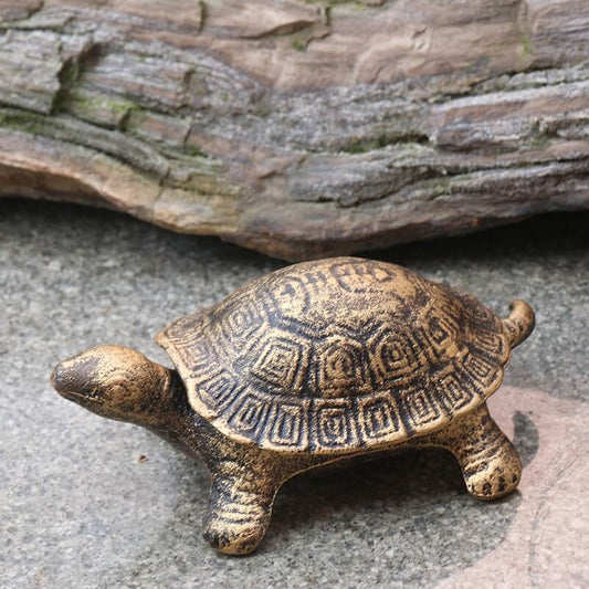 Cendar Tortue Propre