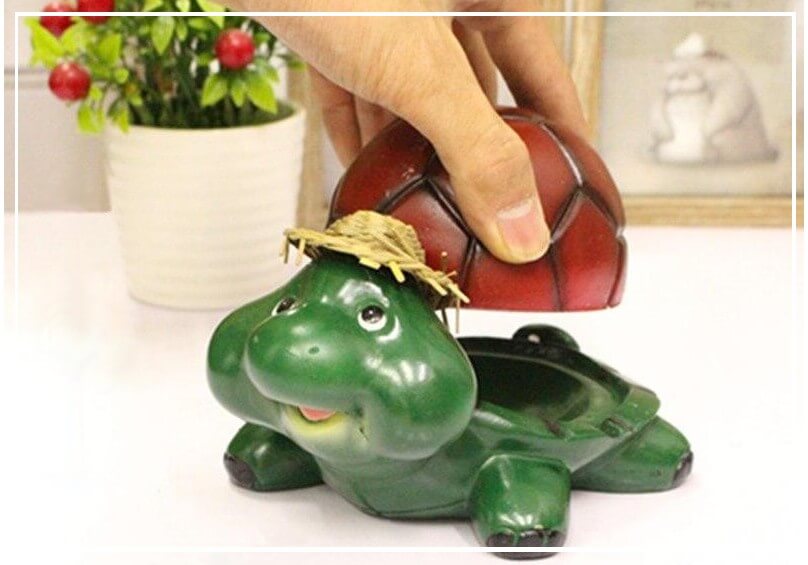 Cendar Tortue style Galapagos