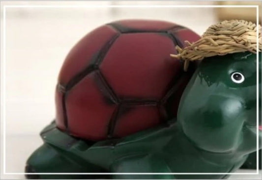 Cendar Tortue Galapagos