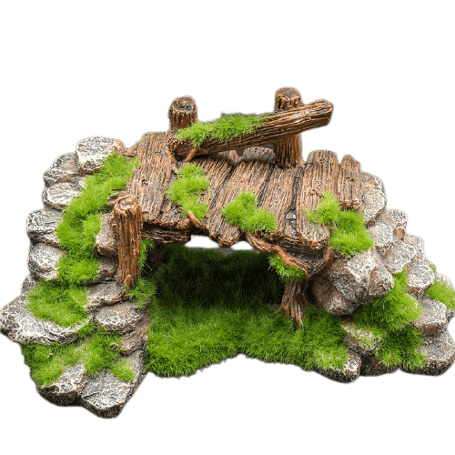 Décoration Terrarium pour python