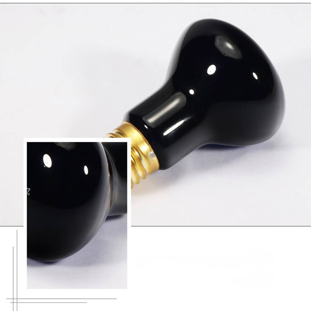 Lampe chauffante tortue de terre