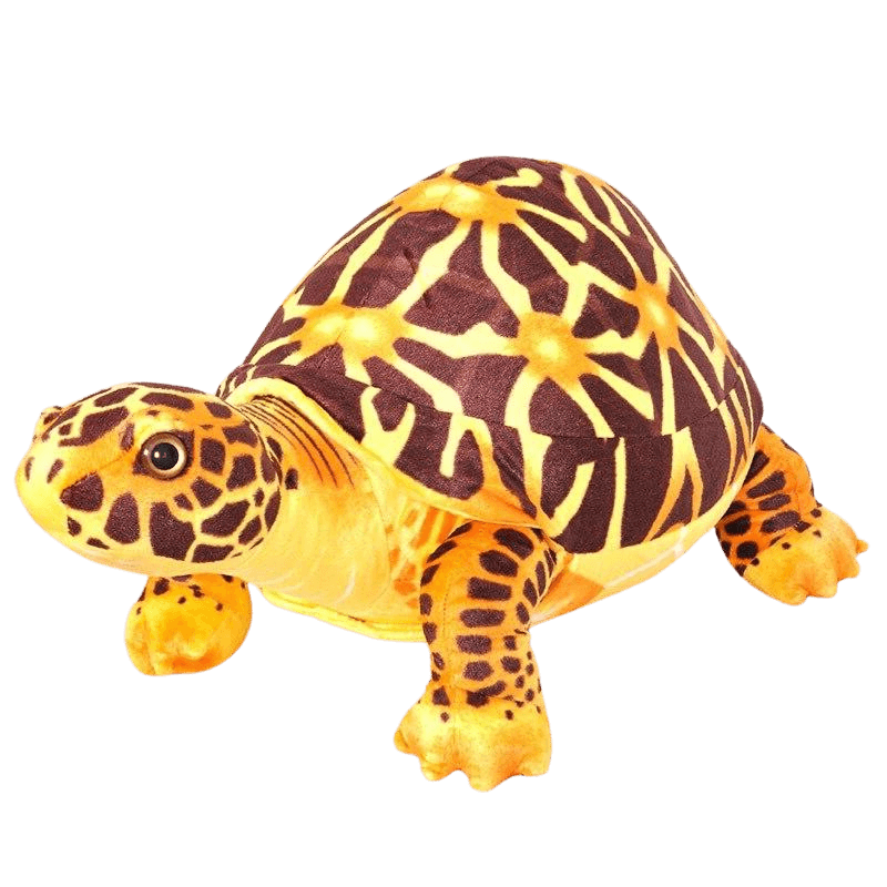 Peluche Tortue modèle Moderne Marron
