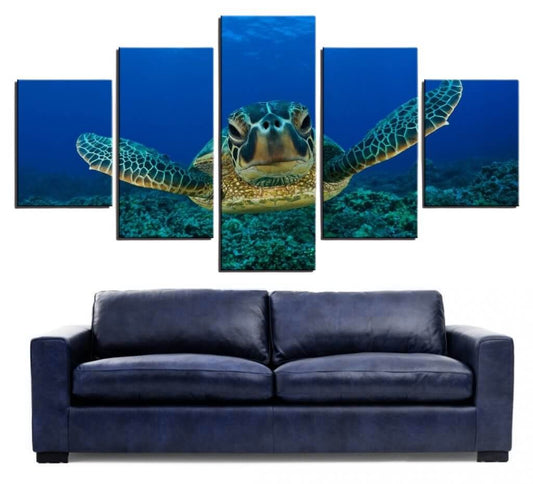 Tableau Tortue 5 pièces Association