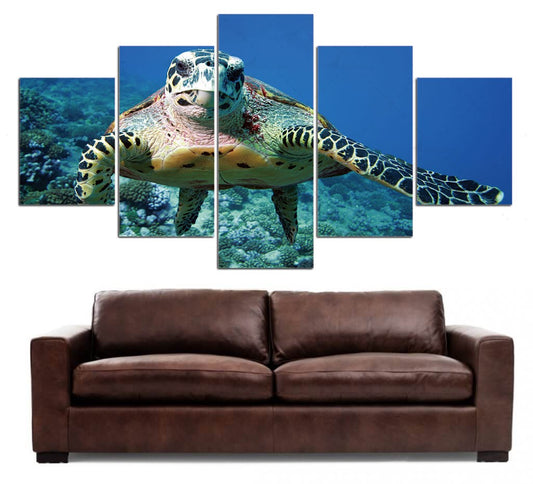 Tableau 5 pièces Tortue Bas Fond
