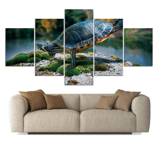 Tableau Tortue 5 pièces Fantaisie Marine