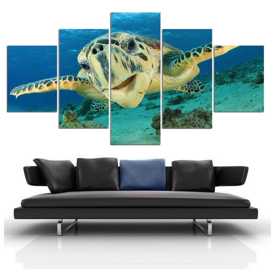 Tableau Tortue 5 pièces Profondeur