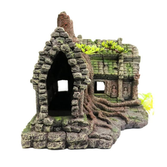 Décoration paludarium maison