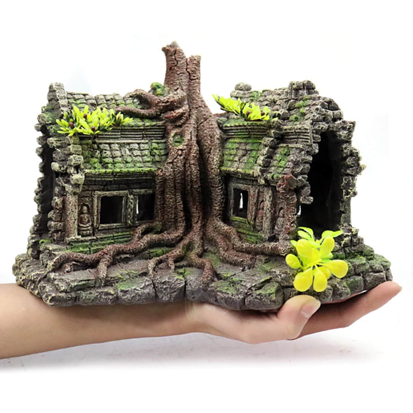 décoration maison paludarium