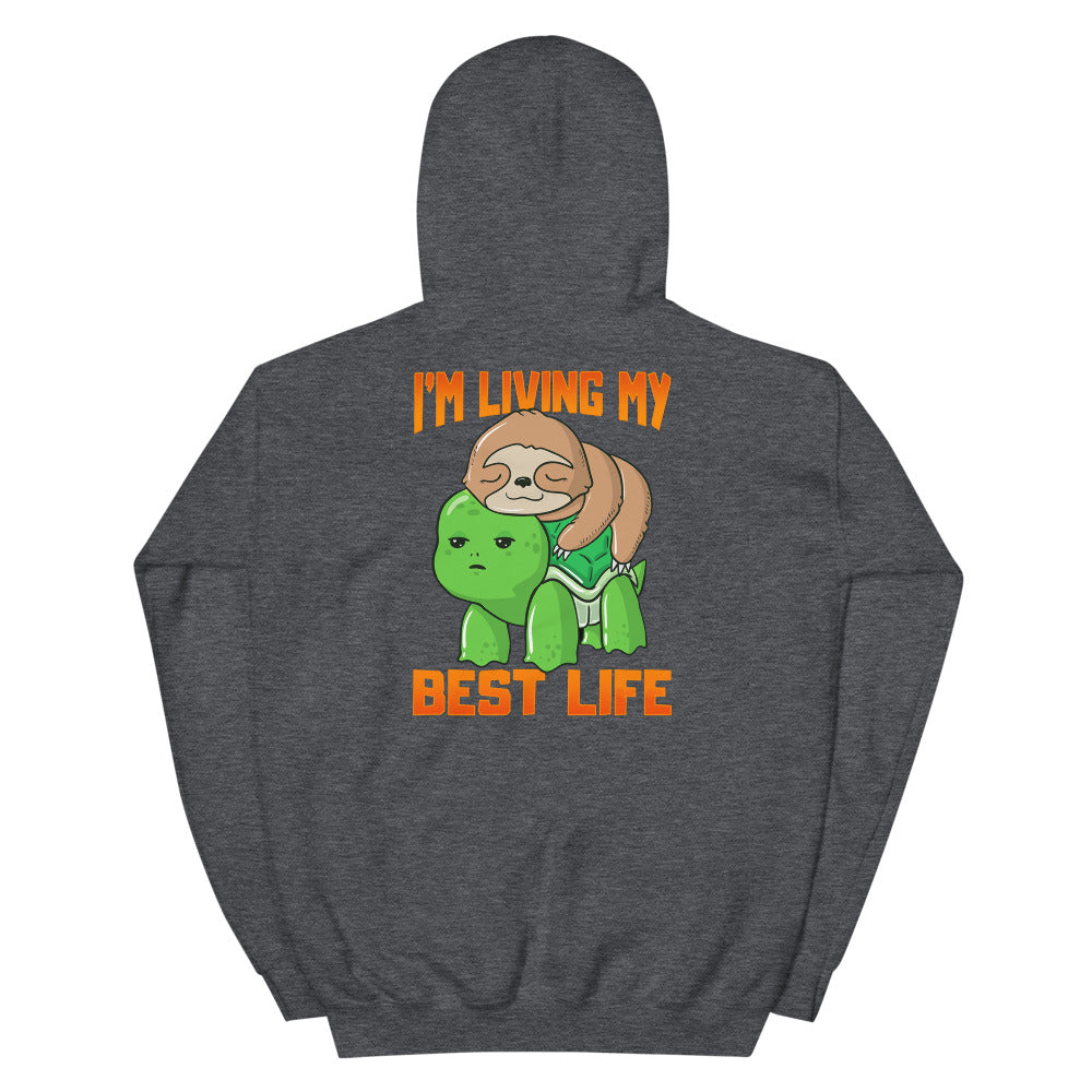 cadeau anniversaire tortue