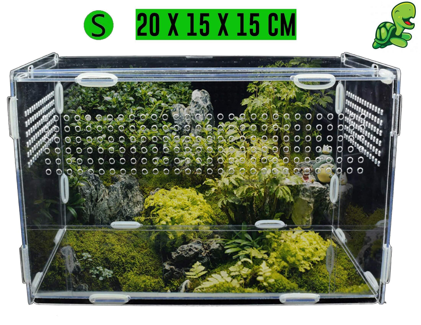 terrarium tortue acrylique petit