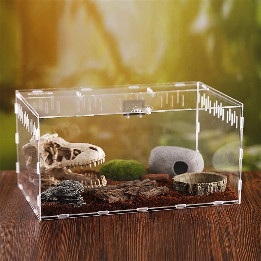 terrarium reptile avec hygrometre