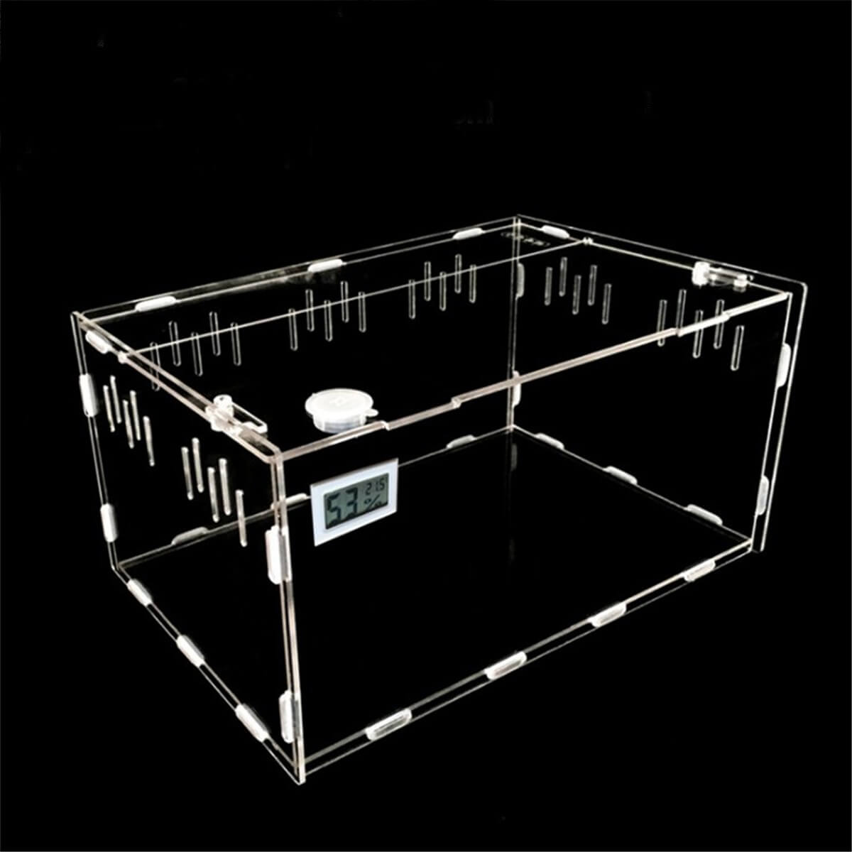 terrarium tortue