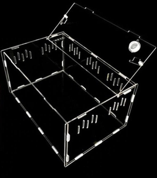 terrarium pour reptile