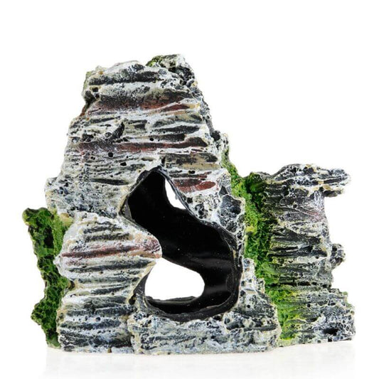 décoration terrarium tortue