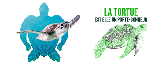 tortue-porte-bonheur