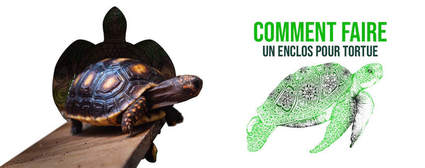 creer-enclos-tortue