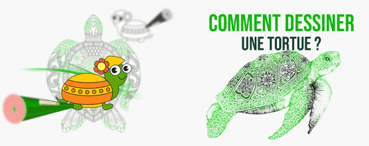 Dessiner-une-tortue-facilement