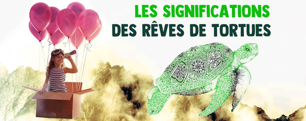 Signification-des-rêves-tortues