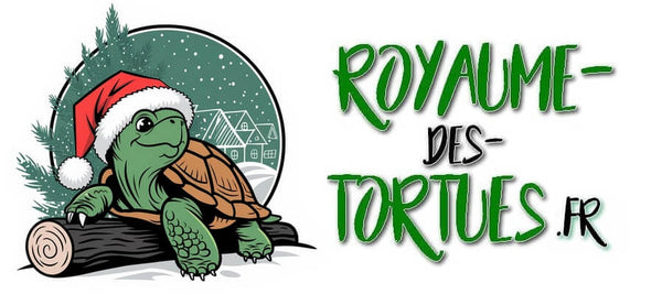 royaume-des-tortues