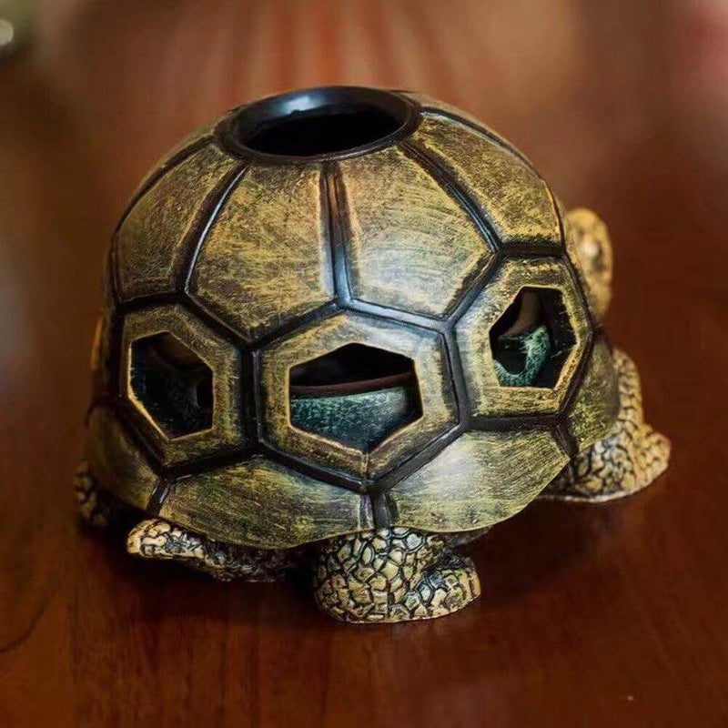 Cendar Tortue Chacunière