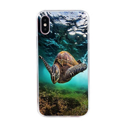 Protection-iPhone-Tortue-Beauté-Marine