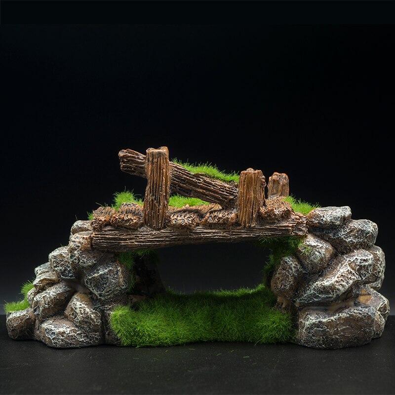 décoration paludarium