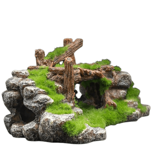 Décoration terrarium pour reptile