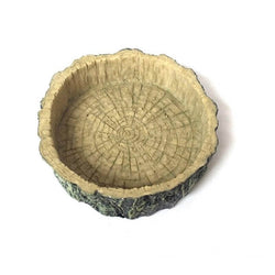 Box eau terrarium reptile