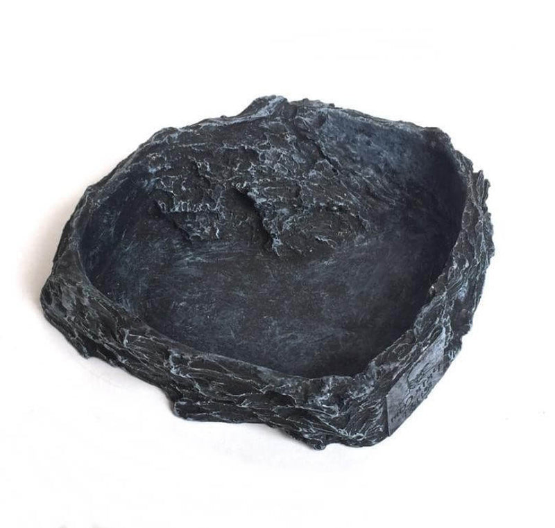 Gamelle eau pour terrarium