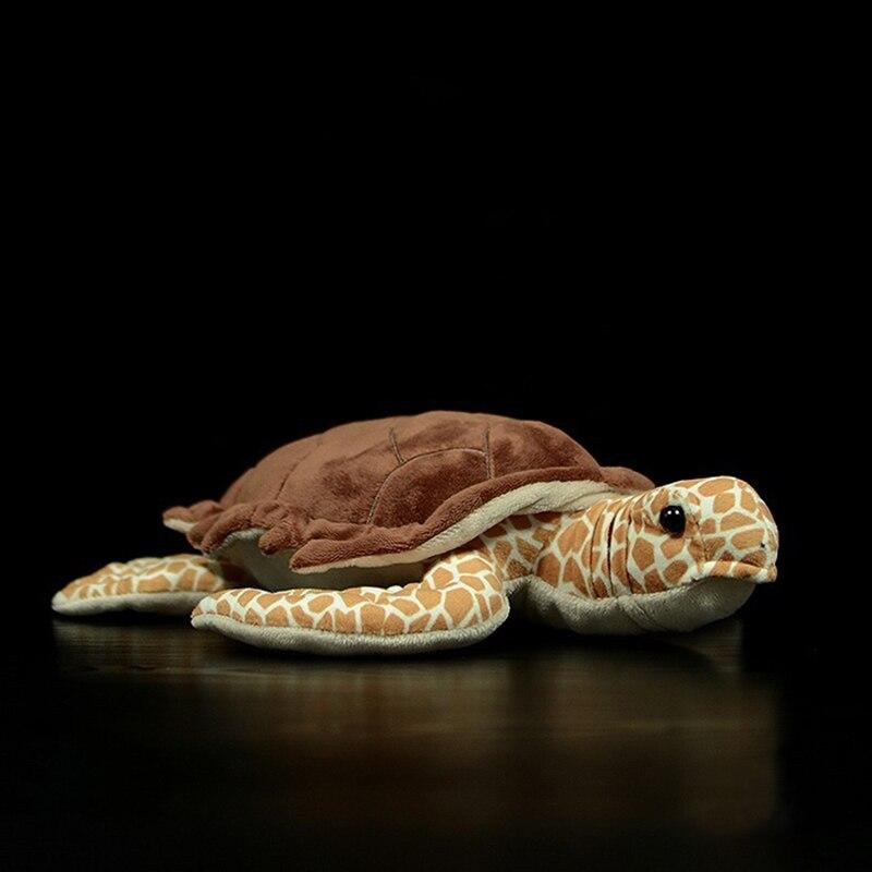 Doudou-tortue-de-terre