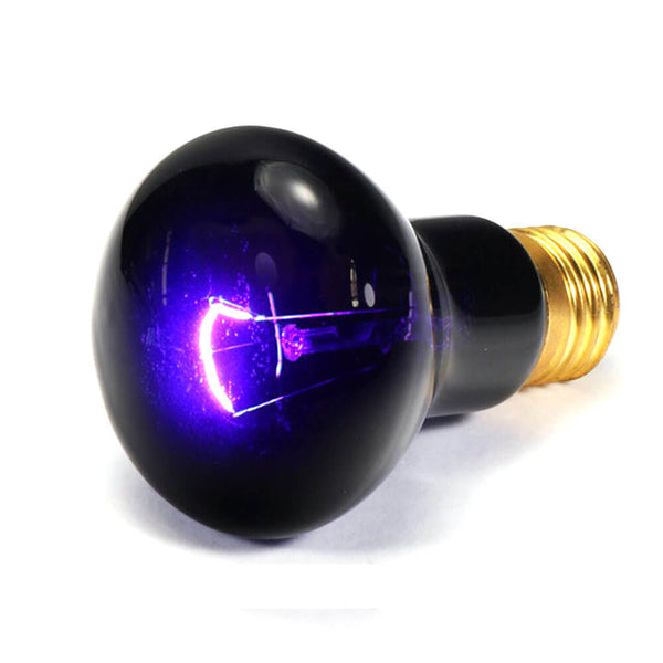 Lampe chauffante terrarium tortue de terre