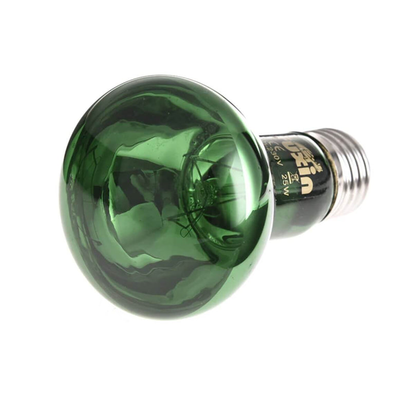 Lampe chauffante terrarium tortue vert