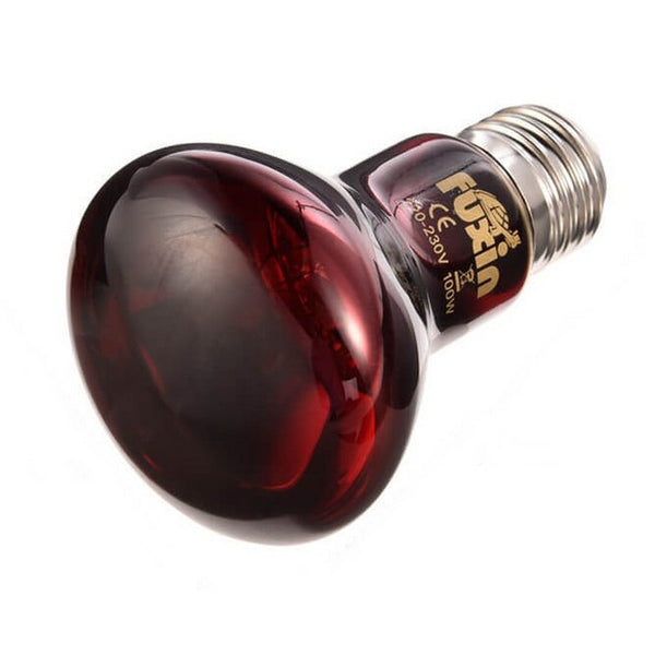 lampe tortue UVB terrarium