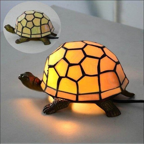 Lumière Tortue Verriere