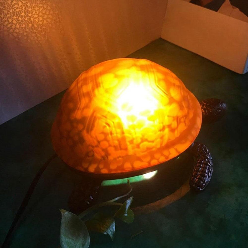 Lumière-Tortue-Vintage
