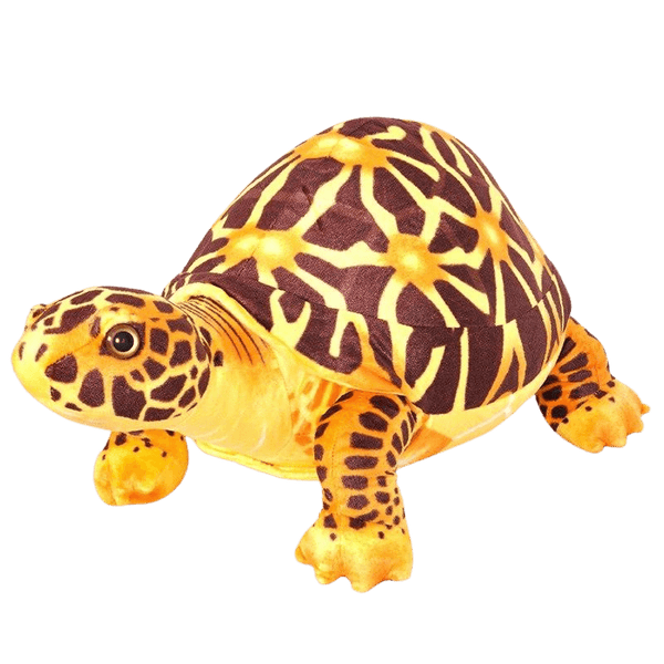 Peluche Tortue modèle Moderne Marron