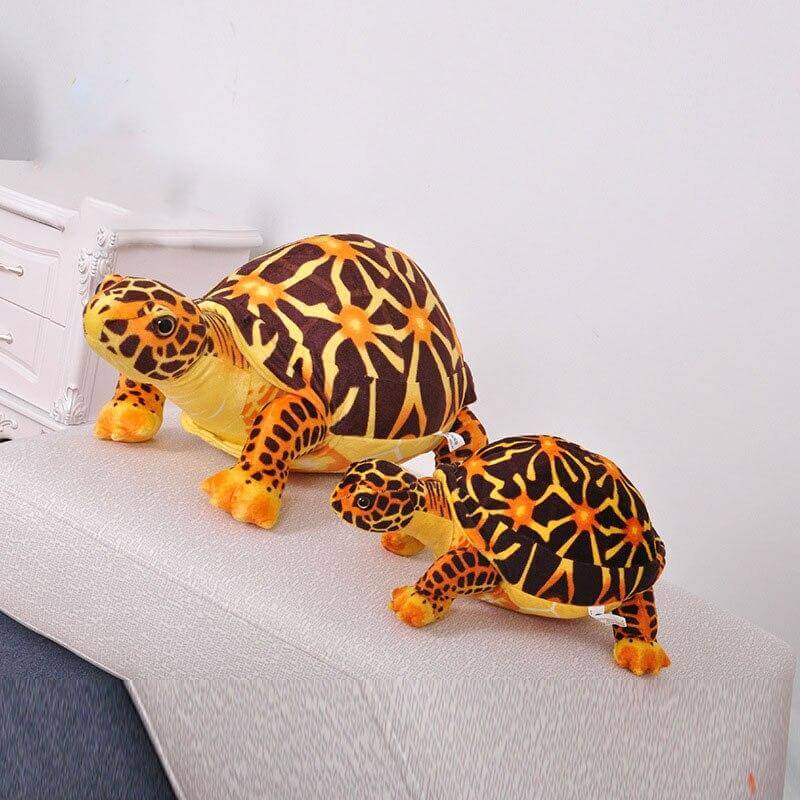 Peluche Tortue Moderne Marron la collection