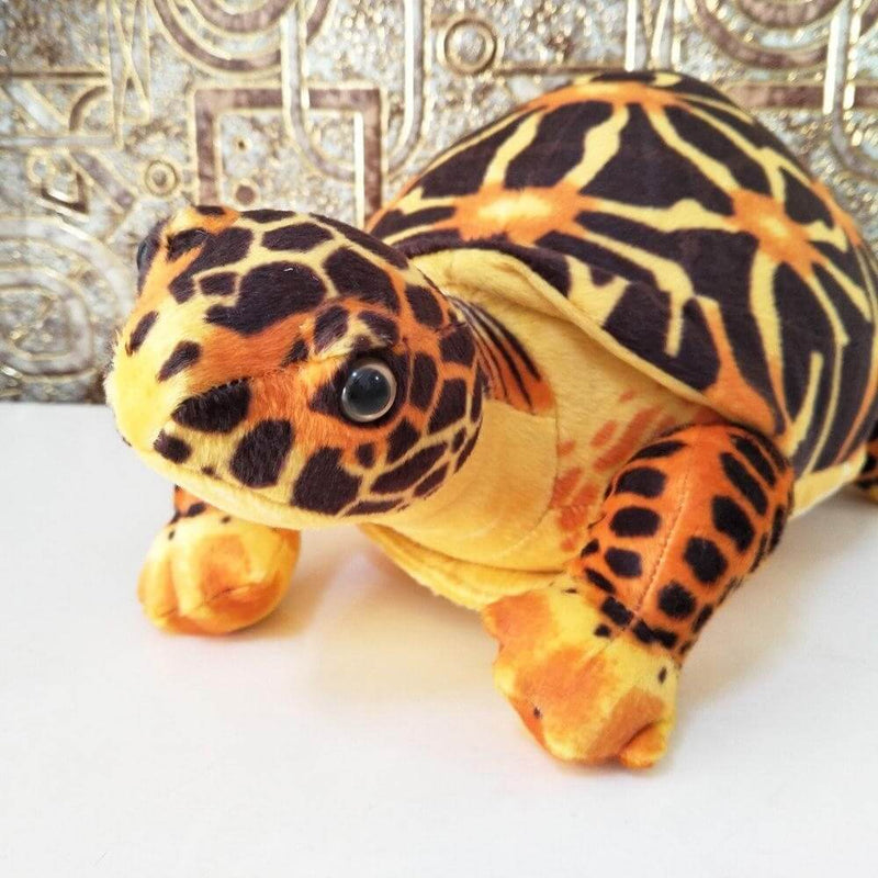 Doudou Tortue Moderne Marron