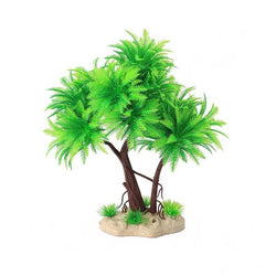 Plante Terrarium Exotique vert