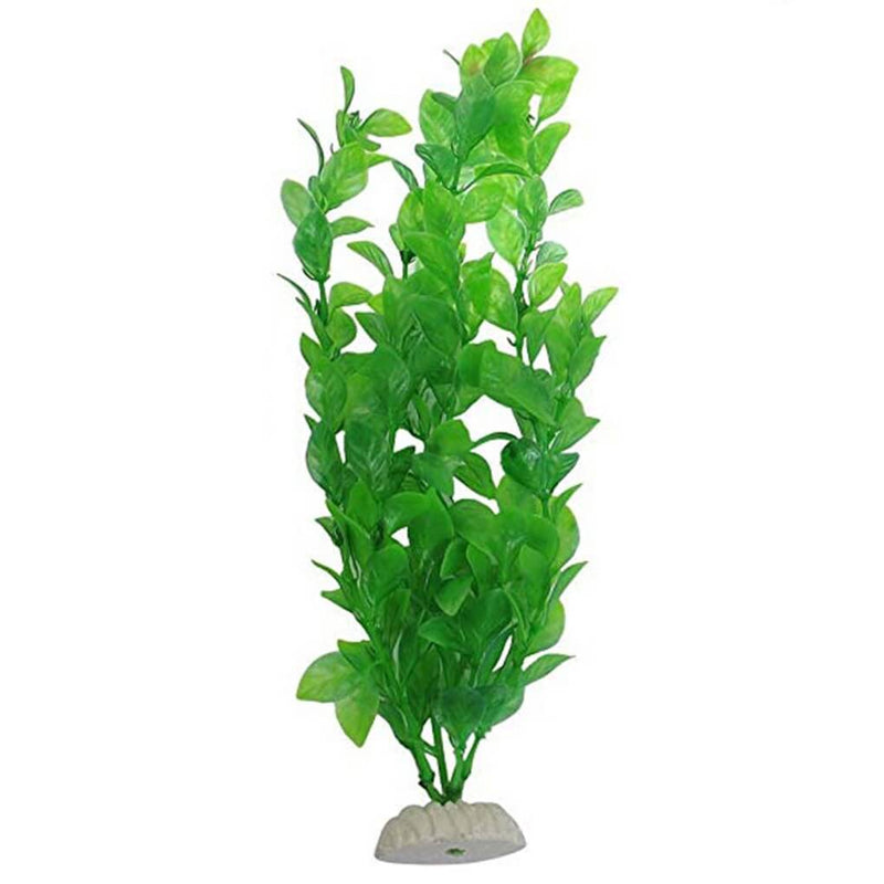 Plante Aquarium Bocal