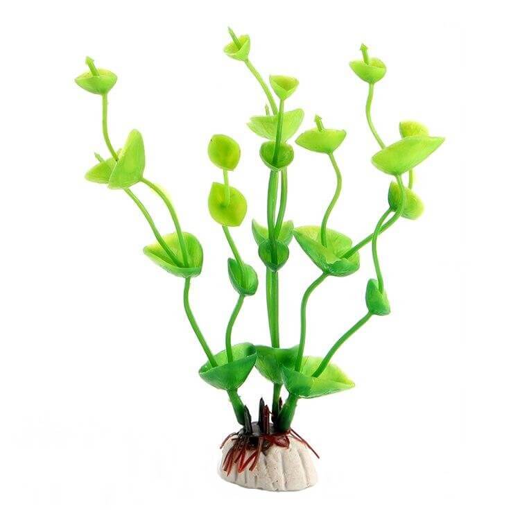 Plante Terrarium plastique fleurie vert