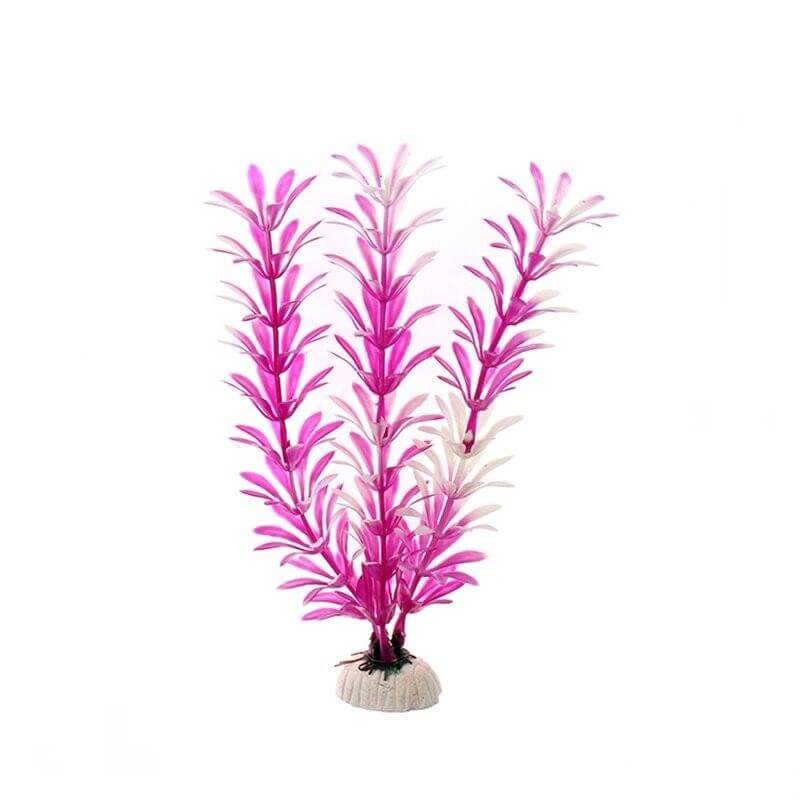 plante plastique aquarium humide