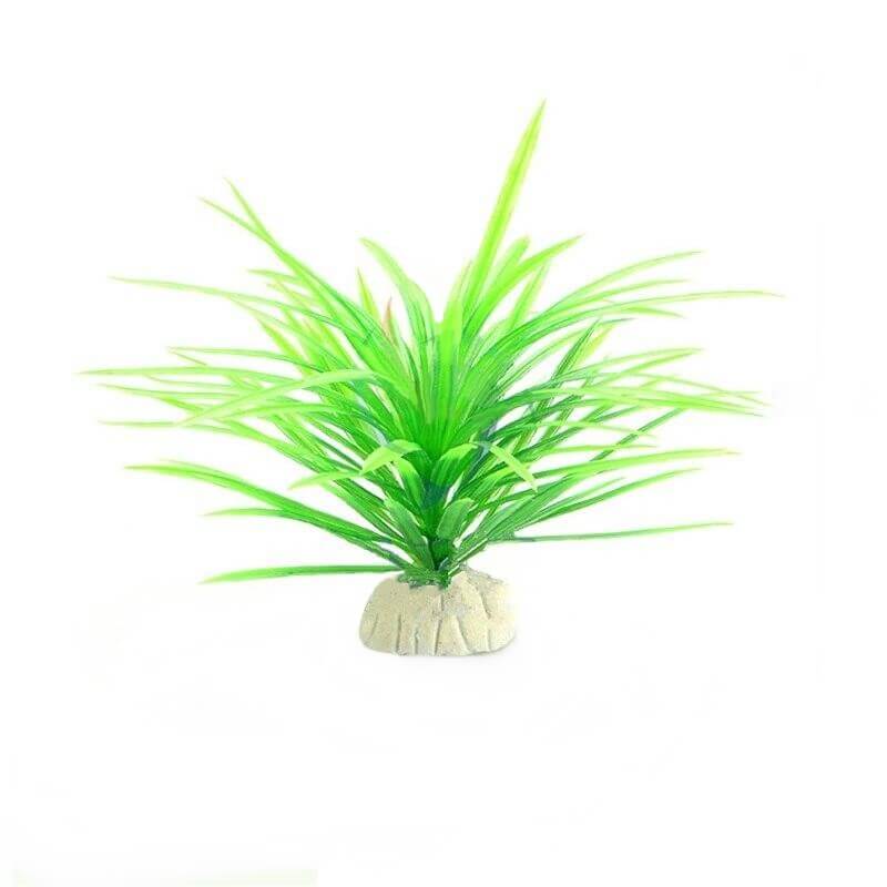 Plante Terrarium plastique Desertique