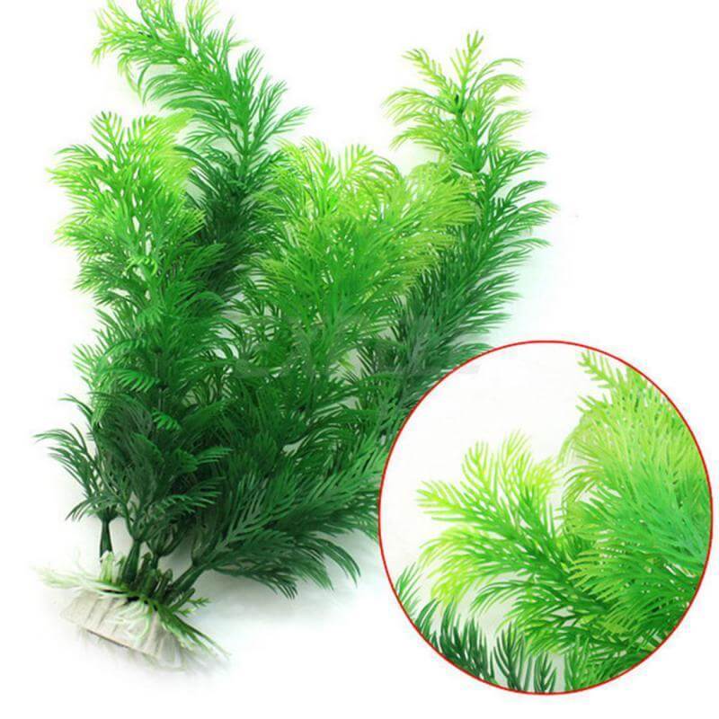 Plante Aquarium factice tortue
