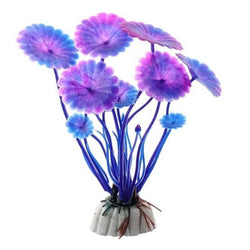 Plante aquarium fermé