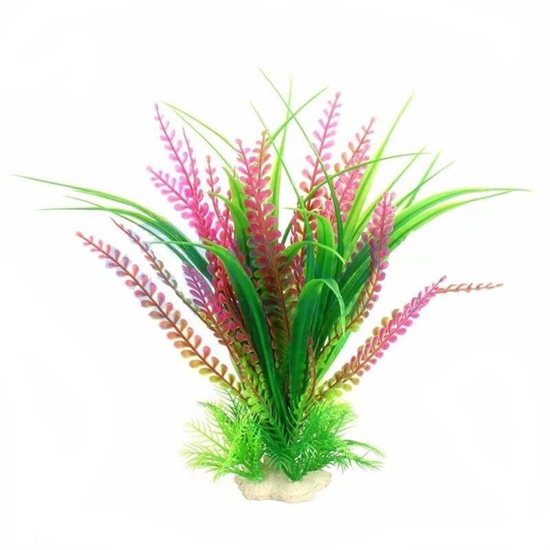 Plante aquarium tropical violet